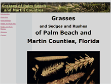 Tablet Screenshot of floridagrasses.org